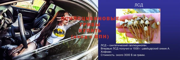 Альфа ПВП Волоколамск